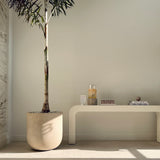 DEKA CoolPeel - Tetra SmartXide CO2 Facial